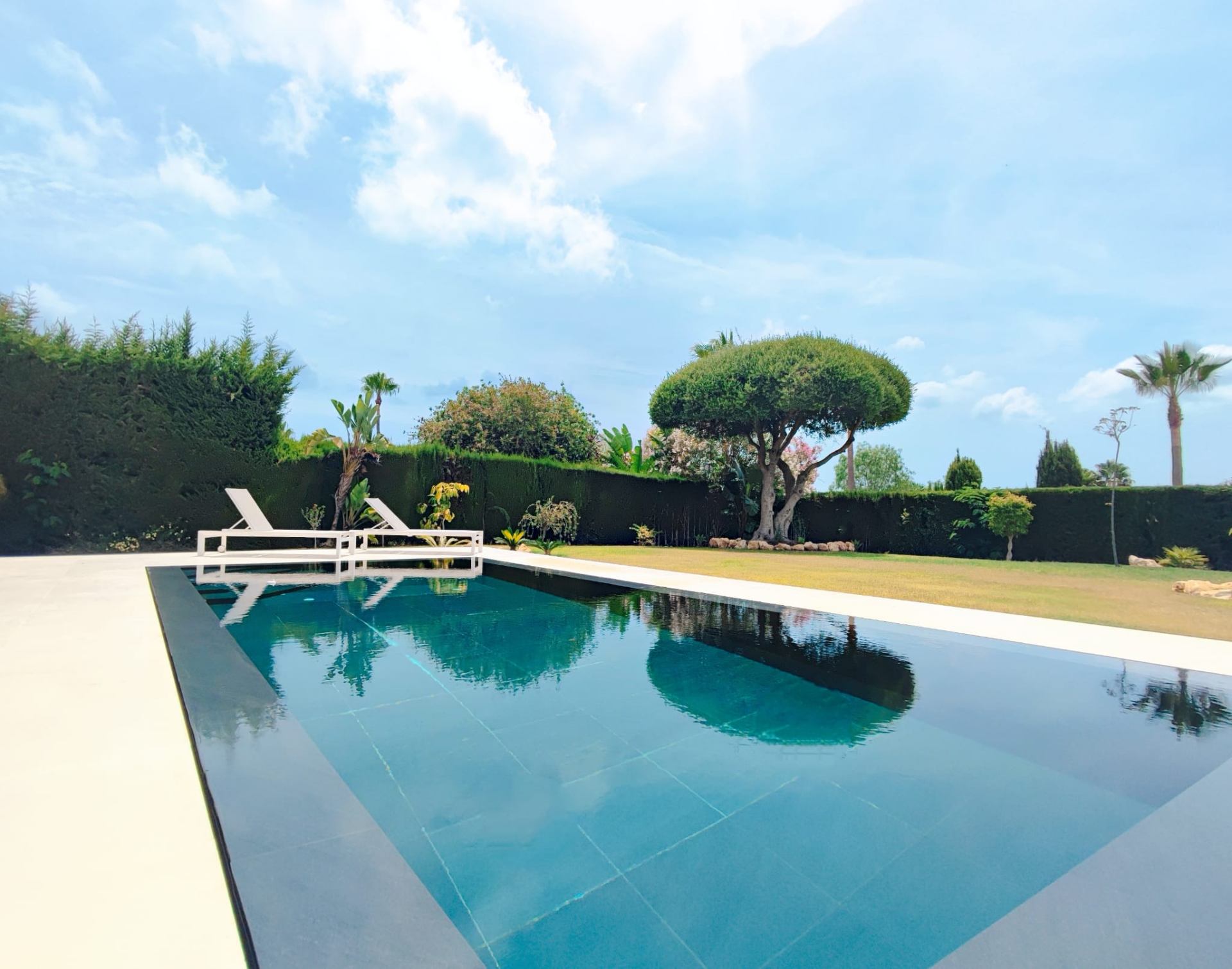 Infinity pool looking onto the landscaped lawn and parasol pine
